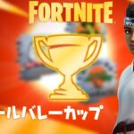 【無料アイテム】オールバレーカップ – チャプター3 シーズン1【フォートナイト/Fortnite】