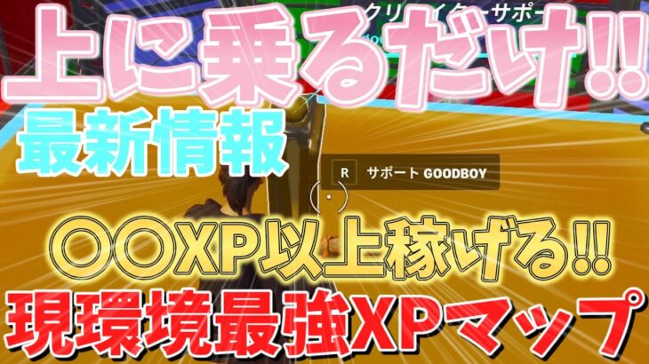 【現環境最強XPマップ!?】　クリサポ台の上に乗るだけで○○XP以上稼げるXP島をあなただけにご紹介！！　【フォートナイト無限XP】　【フォートナイト】