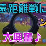 【Fortnite】ストライカーバーストライフルで遠距離戦を楽しむソロ攻略/マイクなし/バトルロイヤル/Battle Royale/Solo/PS4【フォートナイト】