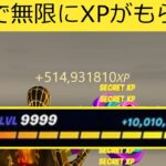 【フォートナイト】放置で10万XP以上もらえる‼簡単にできる経験値稼ぎバグやり方【無限XP】【裏技】