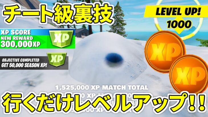 行くだけでレベルが上がる秘密の雪山を発見しました。チート級裏技【フォートナイト】レベル上げ　小技　経験値稼ぎ