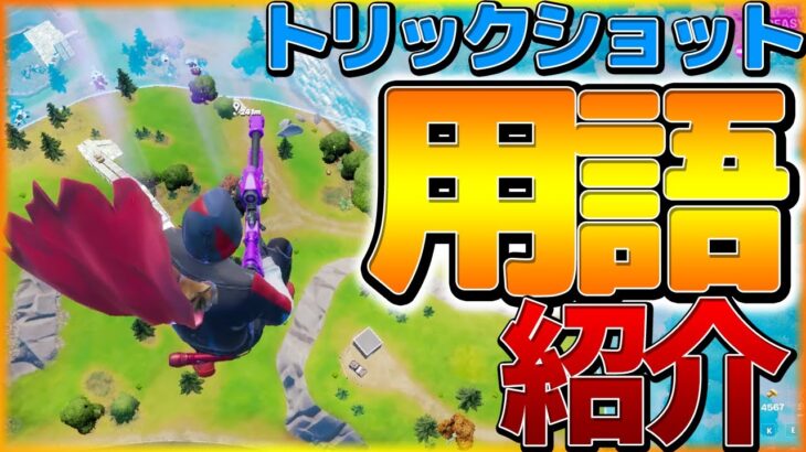 【トリッカー必見！】トリックショットの用語紹介！【フォートナイト/Fortnite】