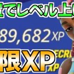 【最速無限XP】放置でレベルが上がるヤバすぎる神マップを紹介します！【フォートナイト/Fortnite】最速,レベル上げ【チャプター3】【シーズン2】【無限XP】