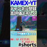 【フォートナイト】【fortnite】ぬし は おとわれ を おぼえた！【カメのfortnite実況part22】#shorts #short #fortnite