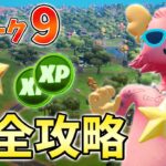 ウィーク9クエスト最速攻略！【チャプター3】【シーズン2】【フォートナイト】