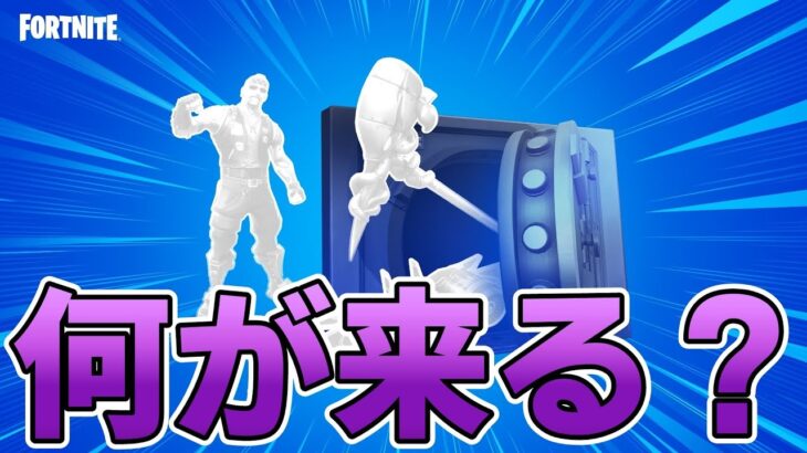 1年以上保管庫入りで再販が来そうなスキンを紹介！！ビーチアサルトも!?【Fortnite】【フォートナイト】【保管庫】【再販】【レア】【最新情報】【リーク情報】