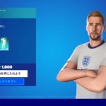 【フォートナイト】2022年11月30日 日替わりアイテムショップ スキン 全身から上部アップ動画   HARRY KANE