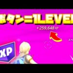 【フォートナイト】【最新情報/チート級無限XPマップ】必ずレベル上げに役立つマップ紹介【ギフト企画】【ゆっくり実況】【FORTNITE】【シーズン１】【チャプター４】