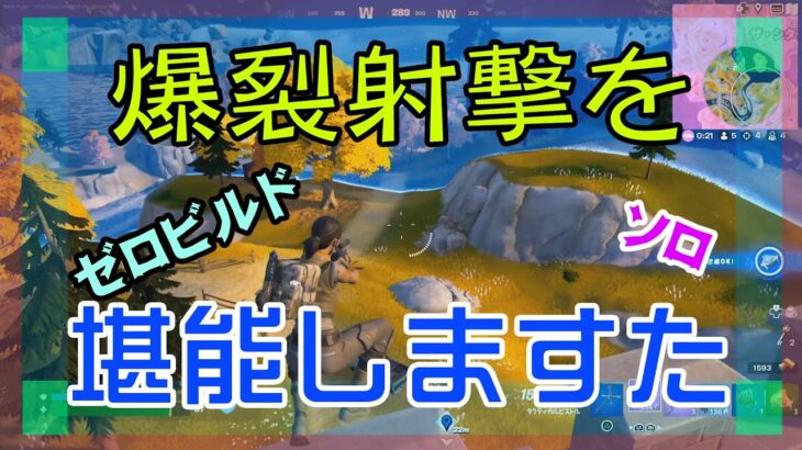 【Fortnite】爆裂銃を堪能するゼロビルド/ソロ攻略/マイクなし/バトルロイヤル/PS4【フォートナイト】