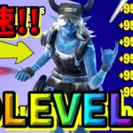 【最新情報！】コールデストサークルクエスト最速ゲット！Lv300/無限XPマップ紹介【フォートナイト】【FORTNITE】【シーズン2】【チャプター4】