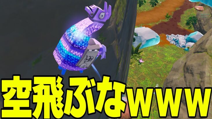 空飛ぶなよお前ｗｗｗｗ【フォートナイト/Fortnite】