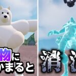 【フォートナイト  fortnite】【 かわいい？ 】チーム代表のメンバーから初持ち込み企画！？サーキット内で化け物から逃げろ！