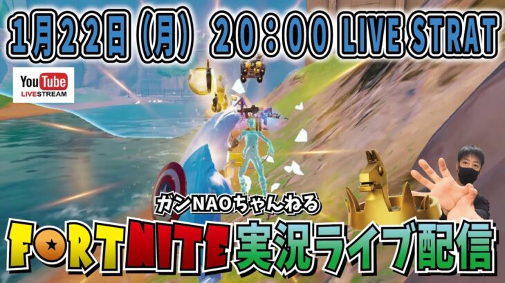 【フォートナイト実況ライブ】視聴者さんのお誕生日をビクロイで祝っていく～生配信【FORTNITE】再配信  #ゲーム実況 #FORTNITE #参加型 #スクワッド