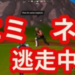 【フォートナイト/Fortnite】世界最弱のエミネムがスパゲッティグラトウから逃げ出した攻略 #runeminemrun