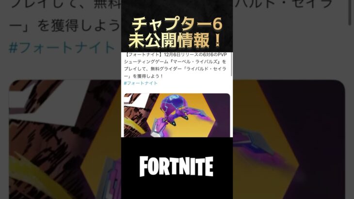 フォートナイト未公開情報！#fortnite ＃チャプター６